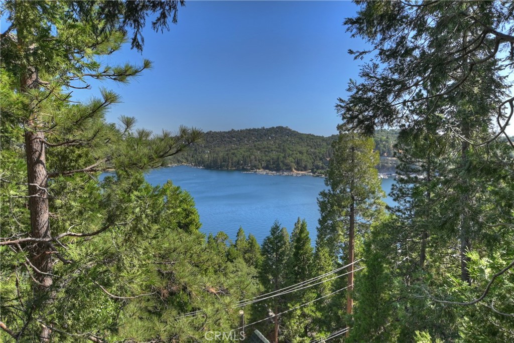 28844 Cedar Drive
