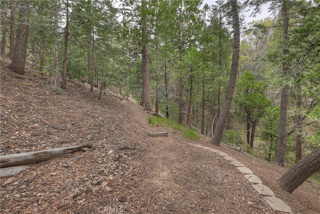 26349 Walnut Hills Drive