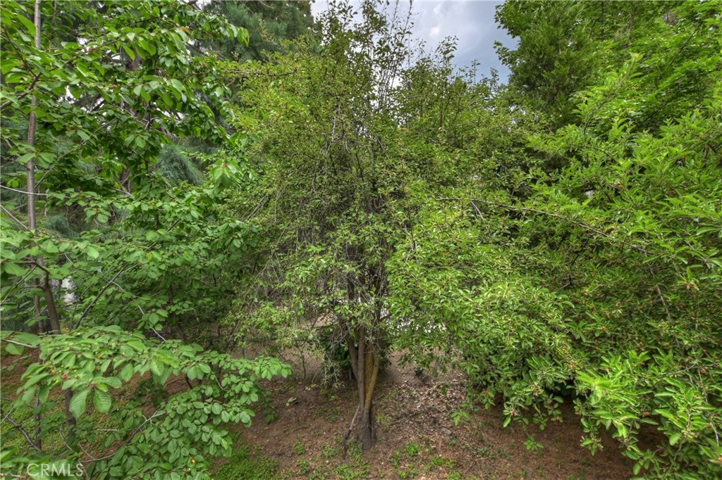 30997 Wild Oak Drive