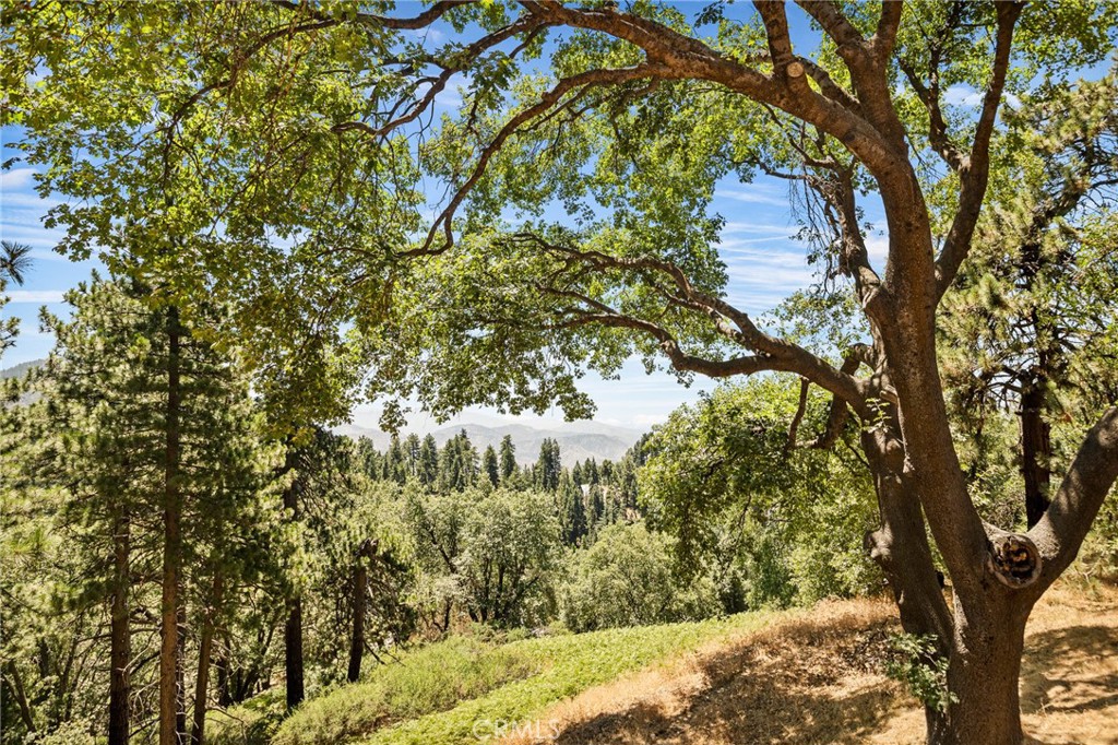 2461 Spring Oak Drive