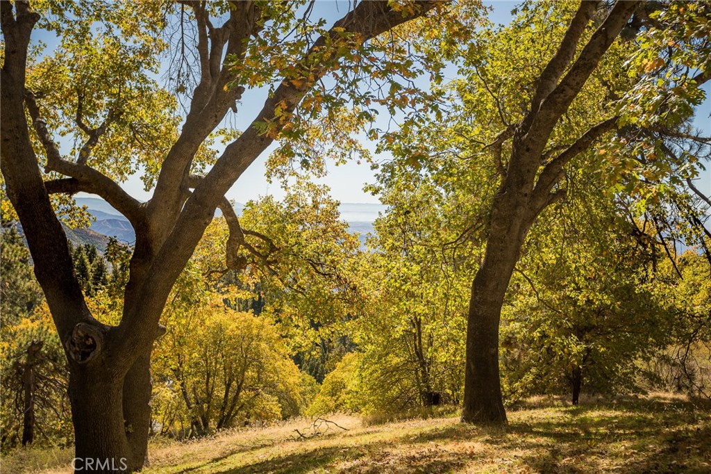 2461 Spring Oak Drive