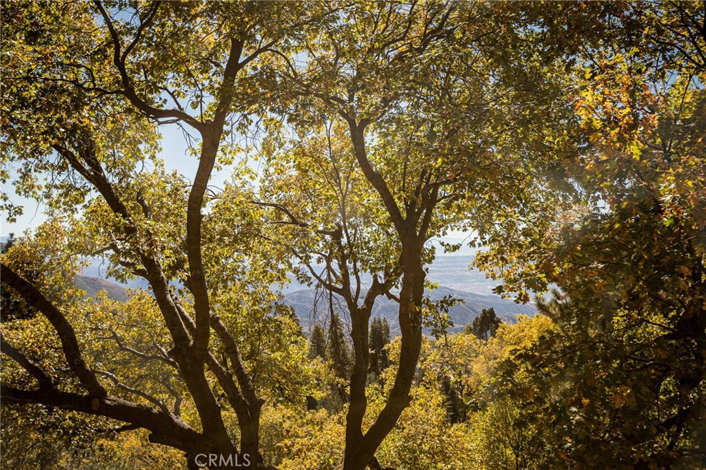 2461 Spring Oak Drive