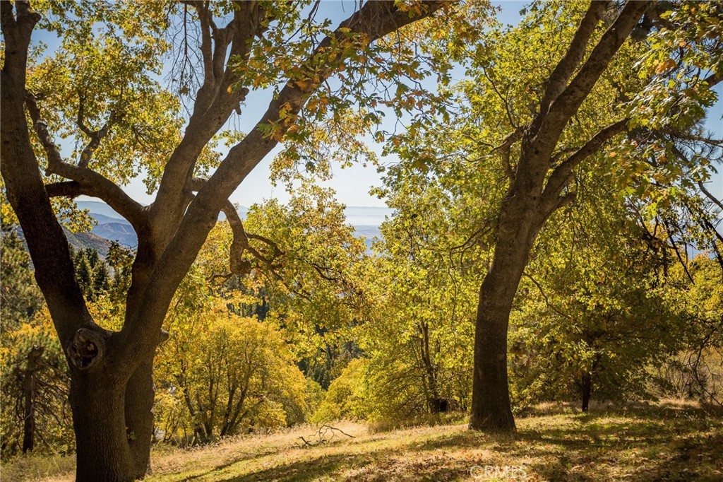 2461 Spring Oak Drive