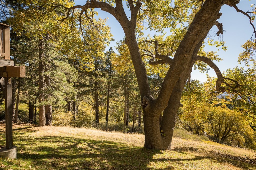 2461 Spring Oak Drive