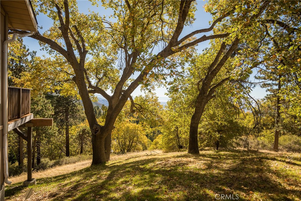 2461 Spring Oak Drive