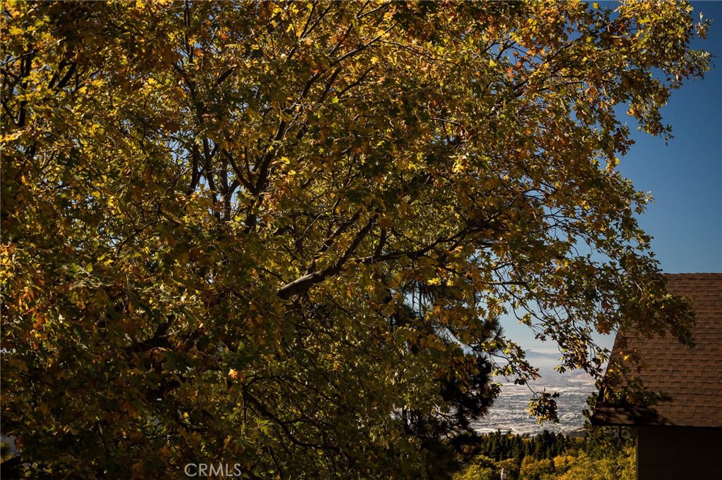 2461 Spring Oak Drive