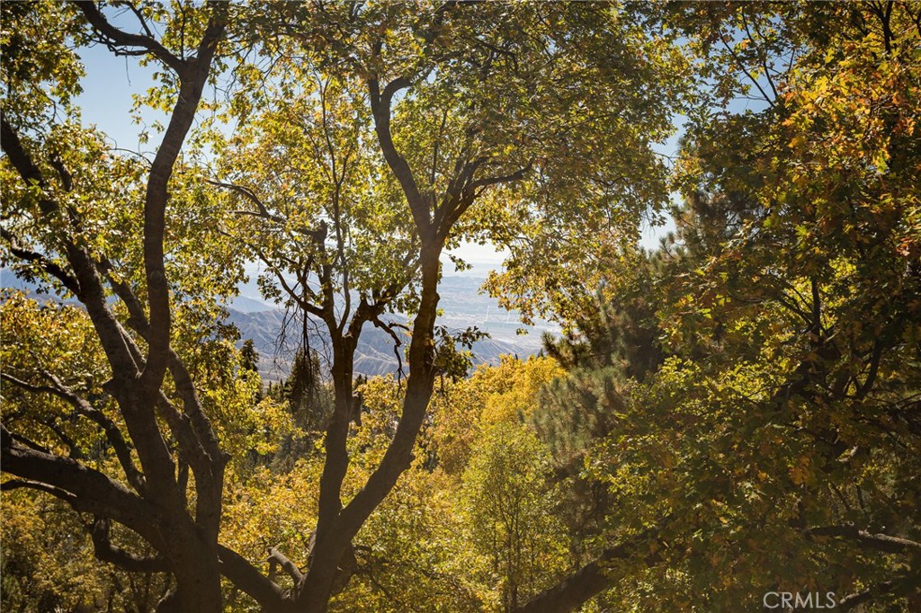 2461 Spring Oak Drive