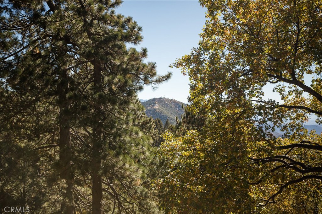 2461 Spring Oak Drive