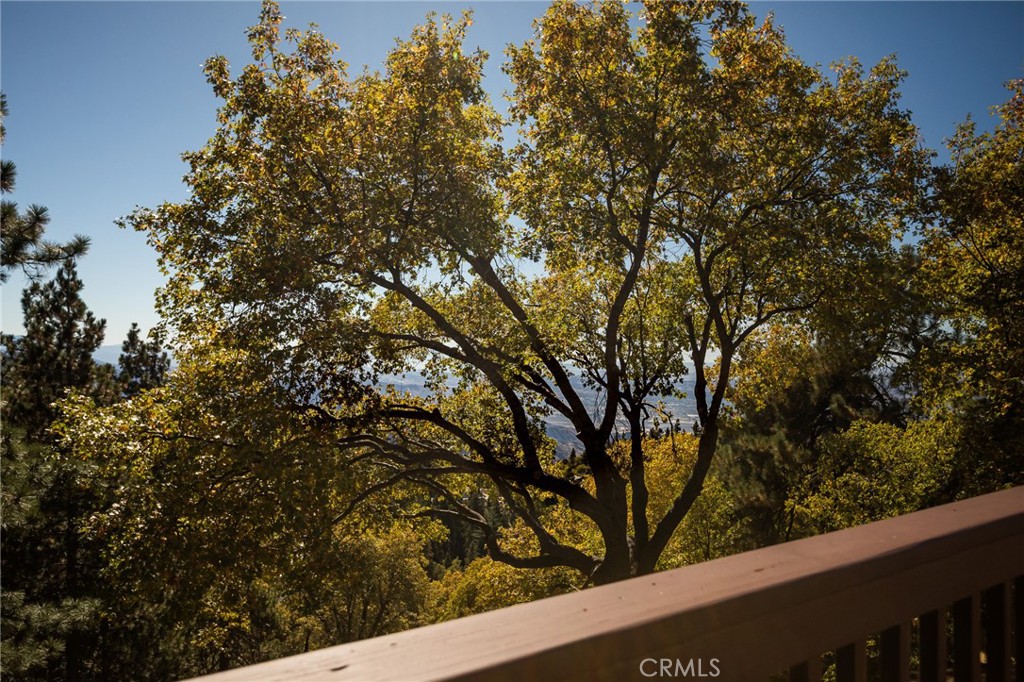 2461 Spring Oak Drive