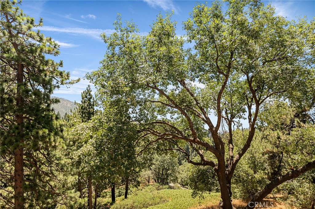 2461 Spring Oak Drive