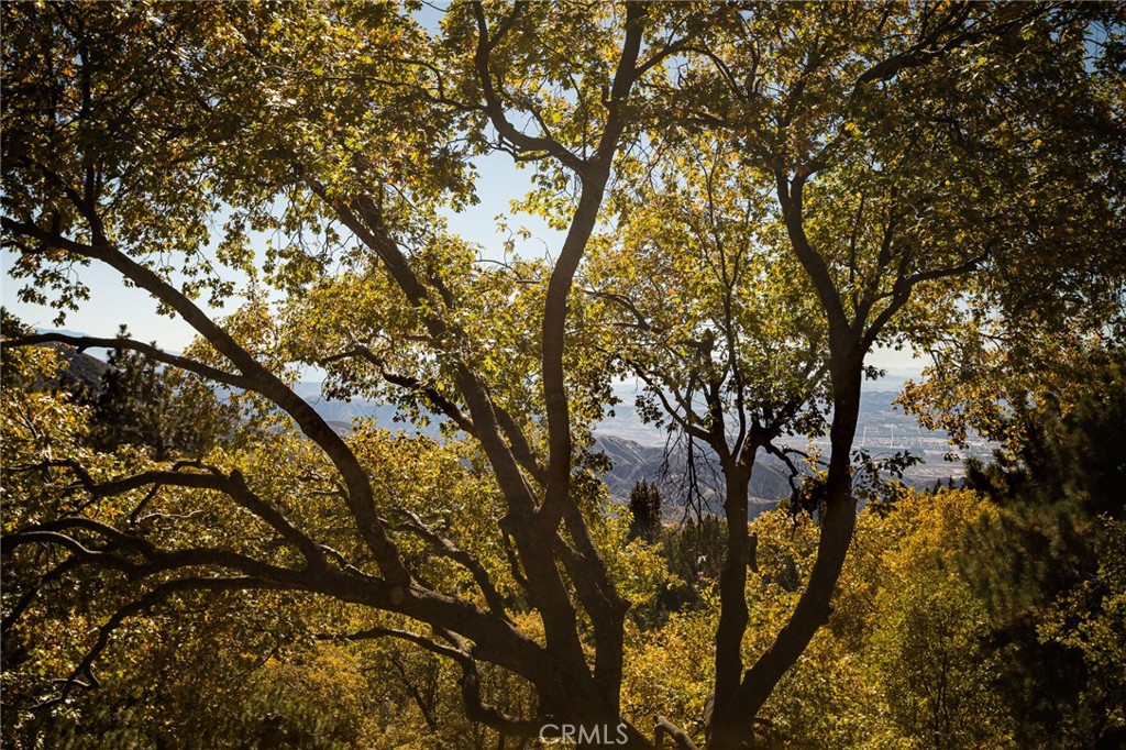 2461 Spring Oak Drive