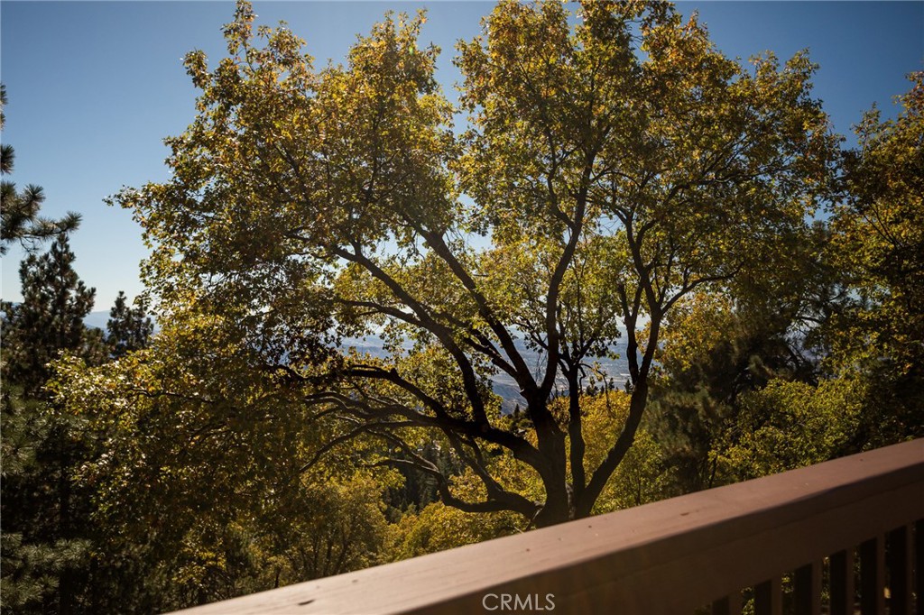 2461 Spring Oak Drive