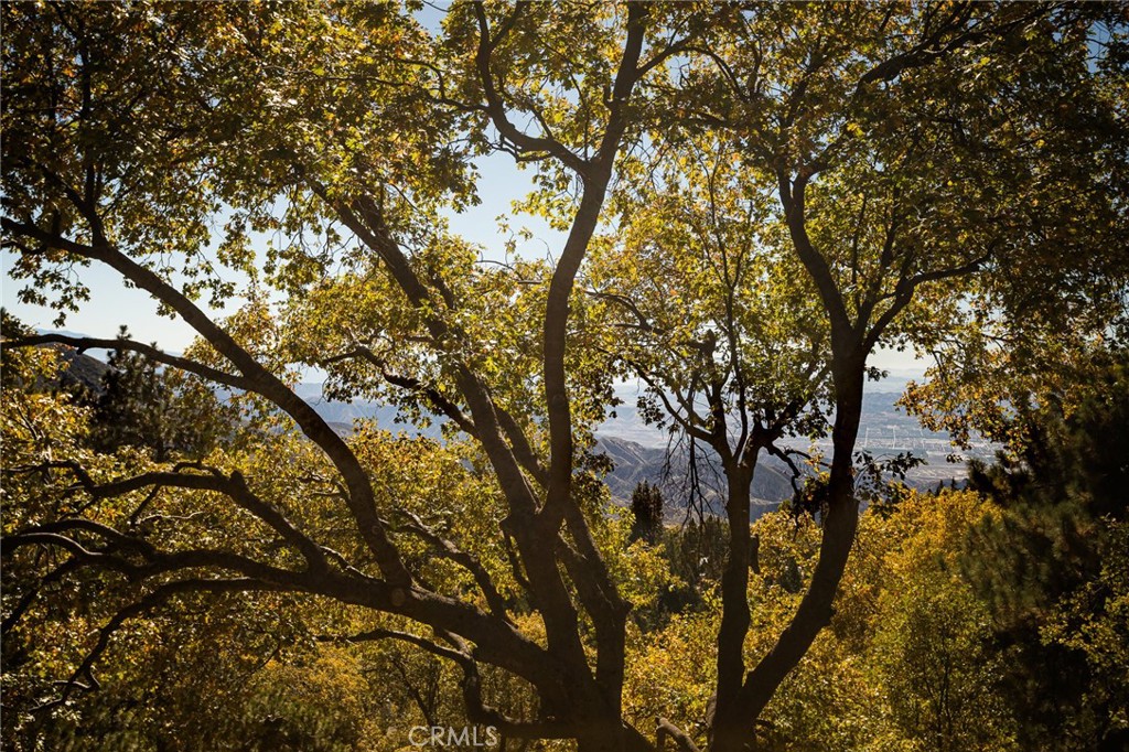 2461 Spring Oak Drive