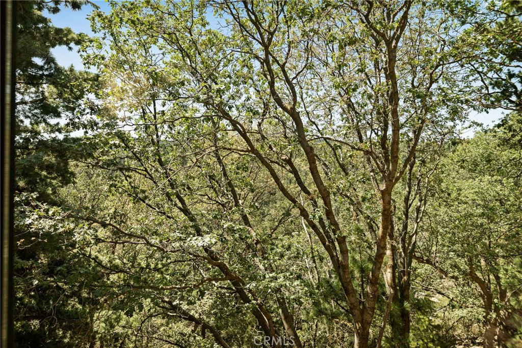 26495 Walnut Hills Drive