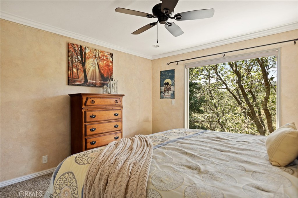 26495 Walnut Hills Drive