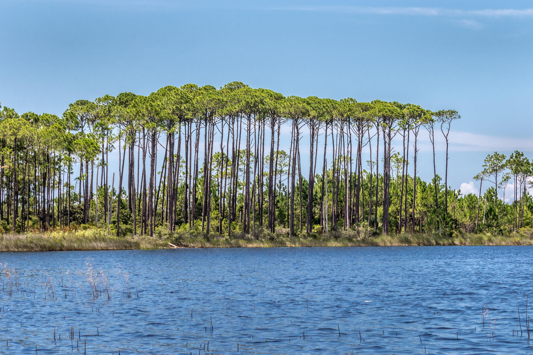 1785 E Co Highway 30A, Unit 303