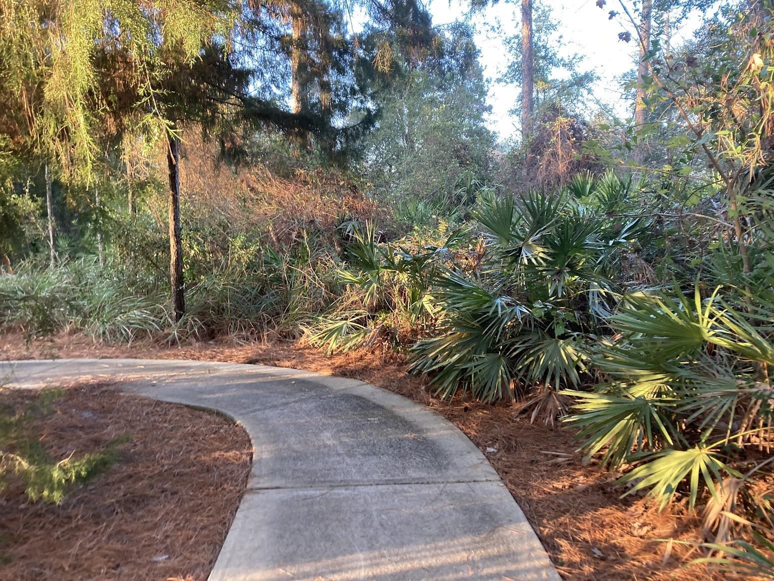 1200 Springhealth Ct