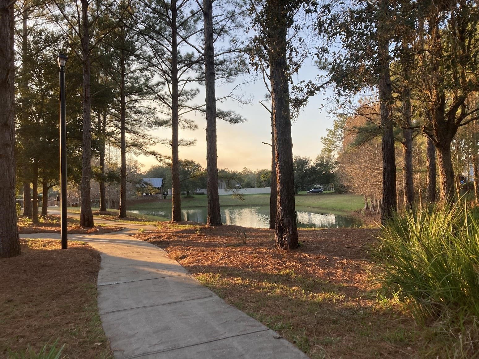 1200 Springhealth Ct