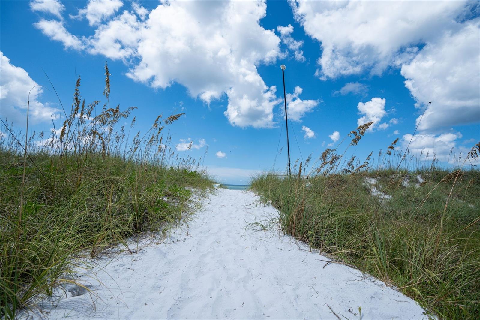 5855 MIDNIGHT PASS RD #318