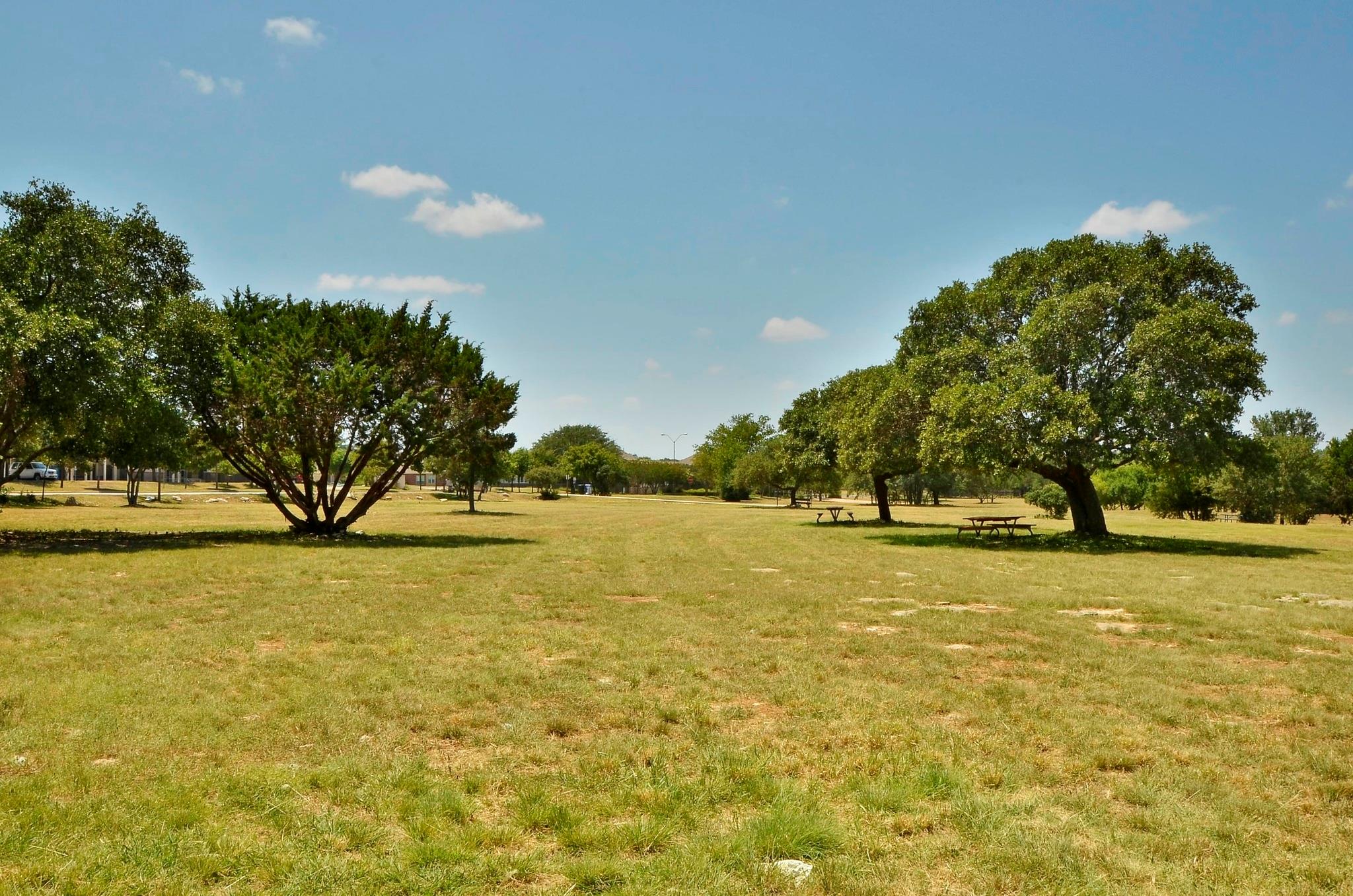 608 Spanish Oak TER