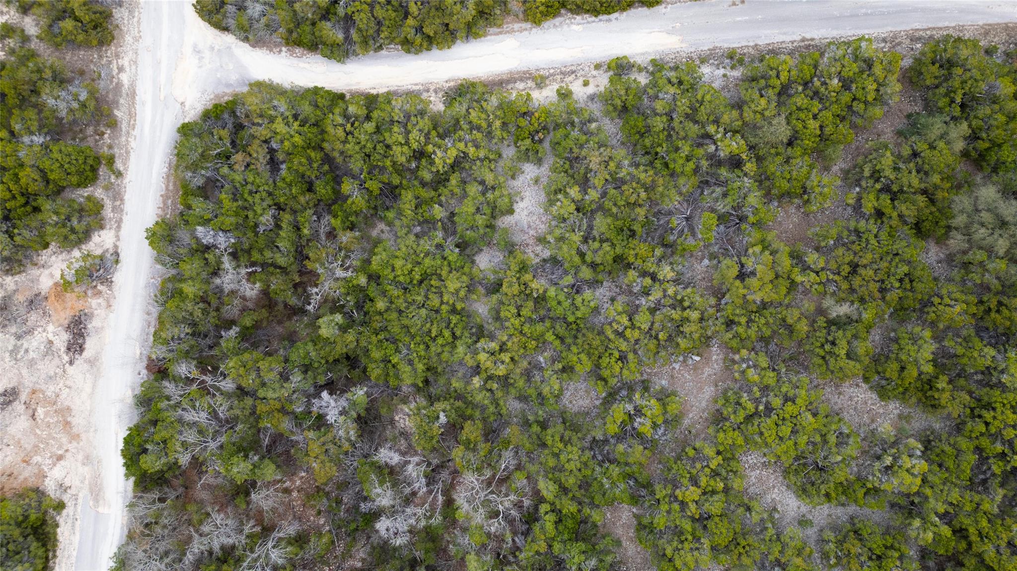 20605 Telegraph PASS