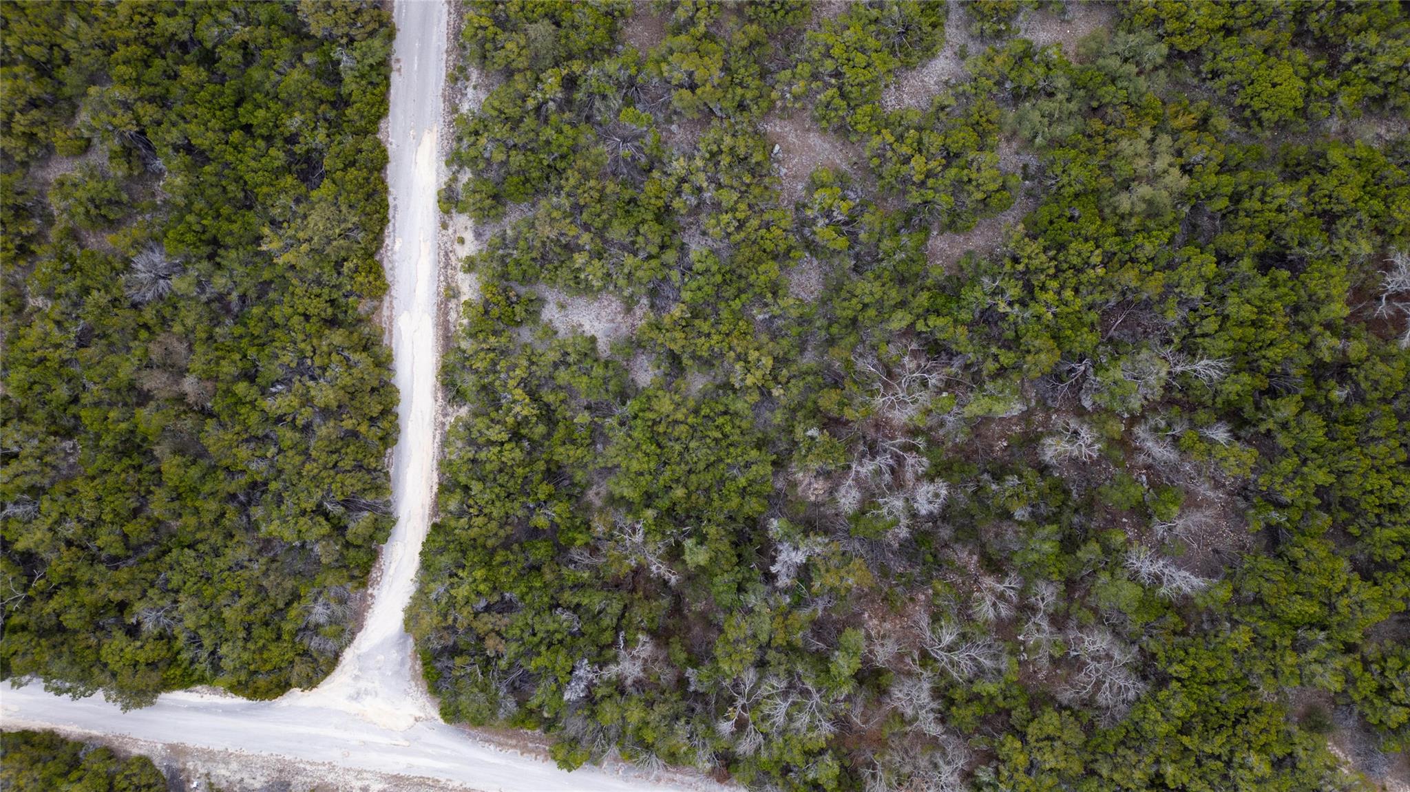 20605 Telegraph PASS