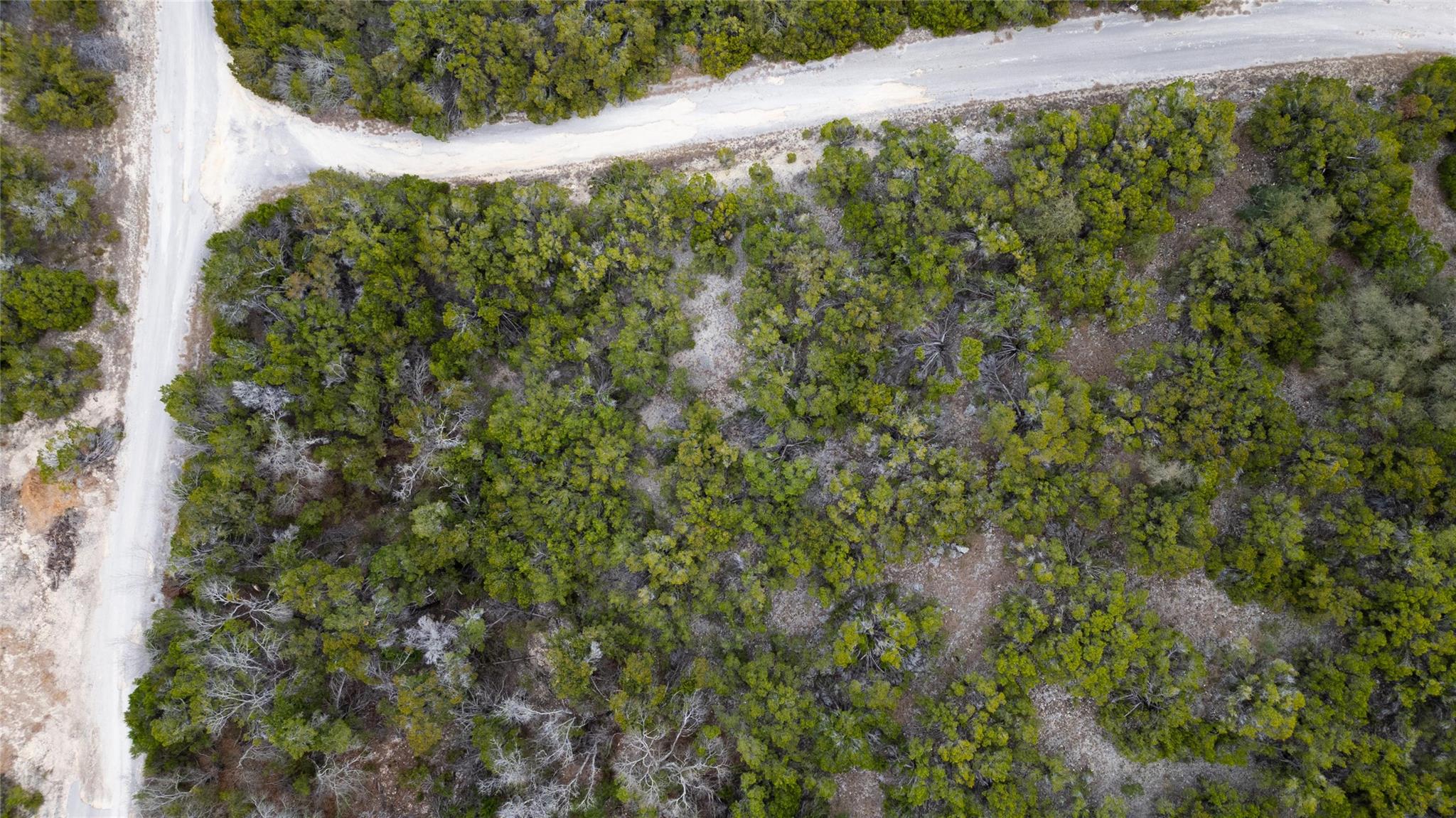 20605 Telegraph PASS