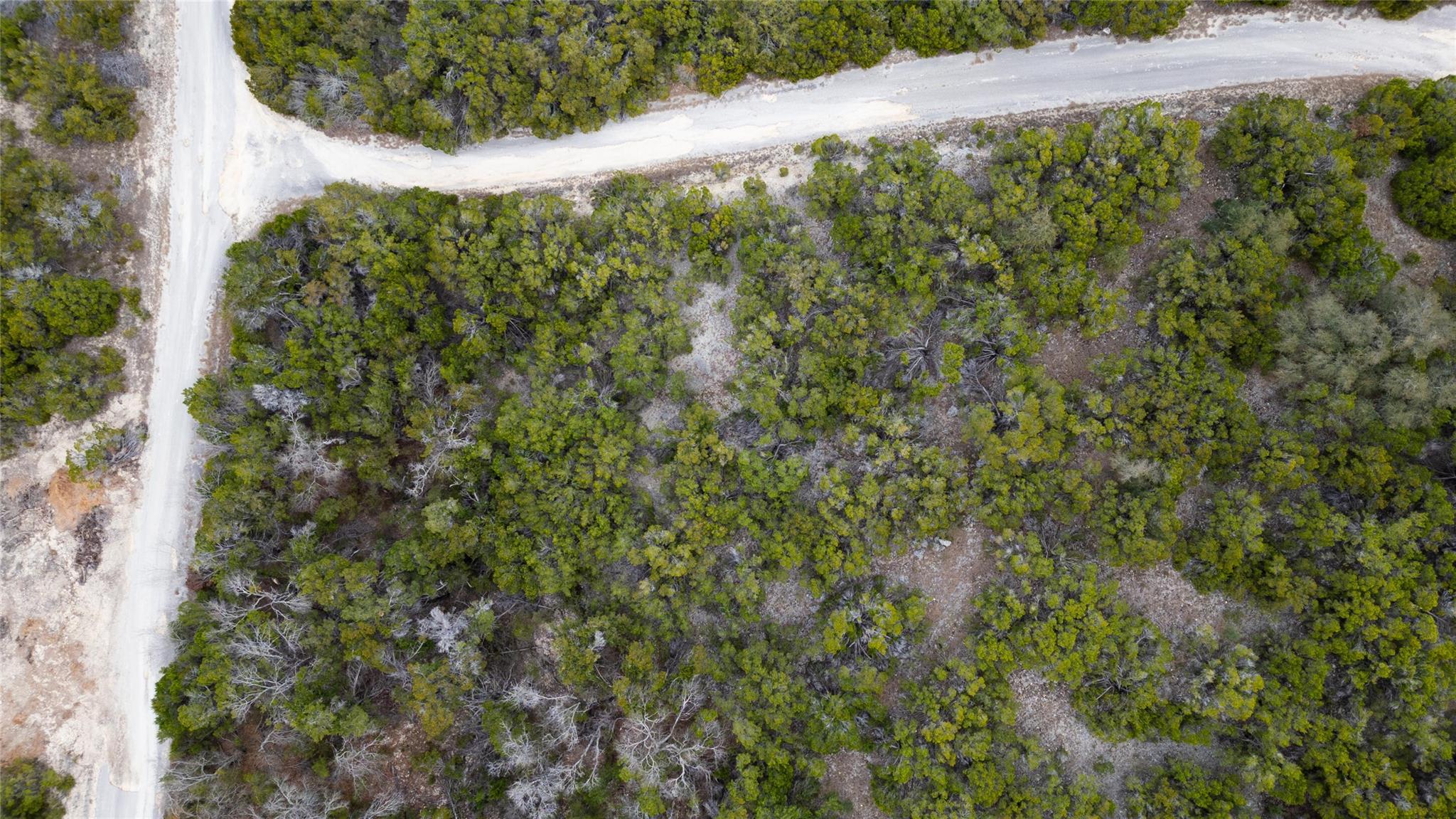 20605 Telegraph PASS