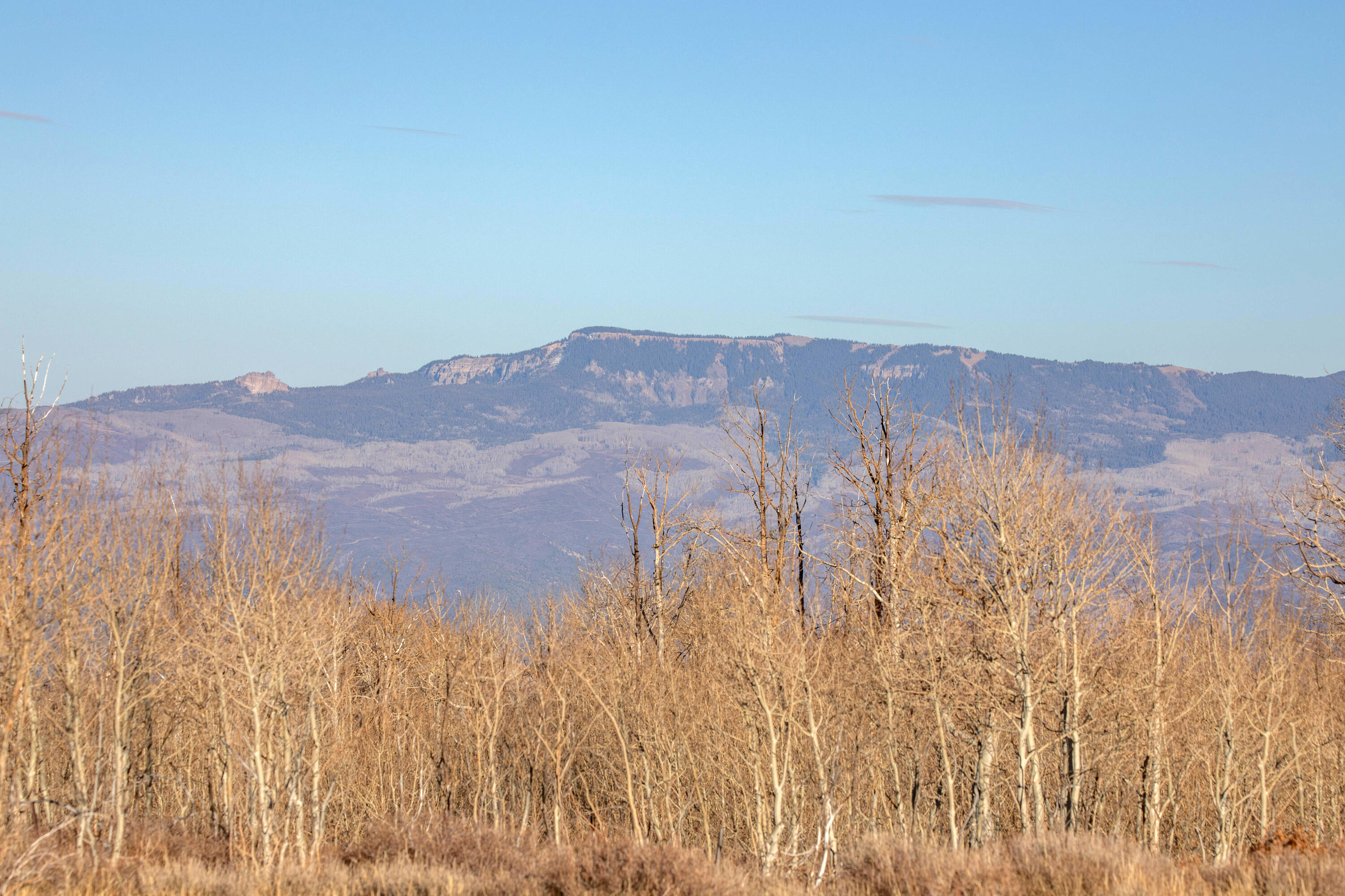 TBD Cornerstone Trail
