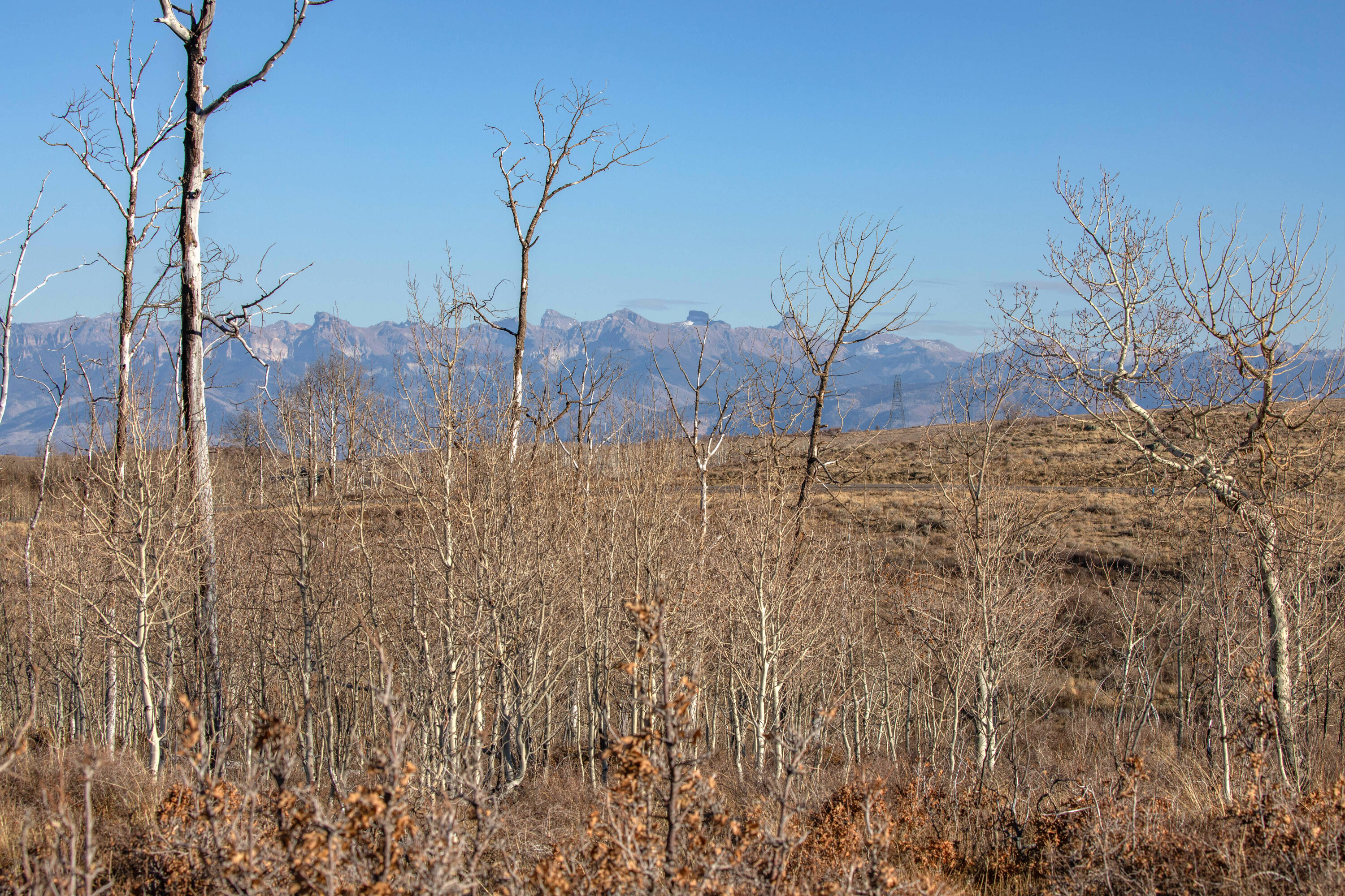 TBD Cornerstone Trail
