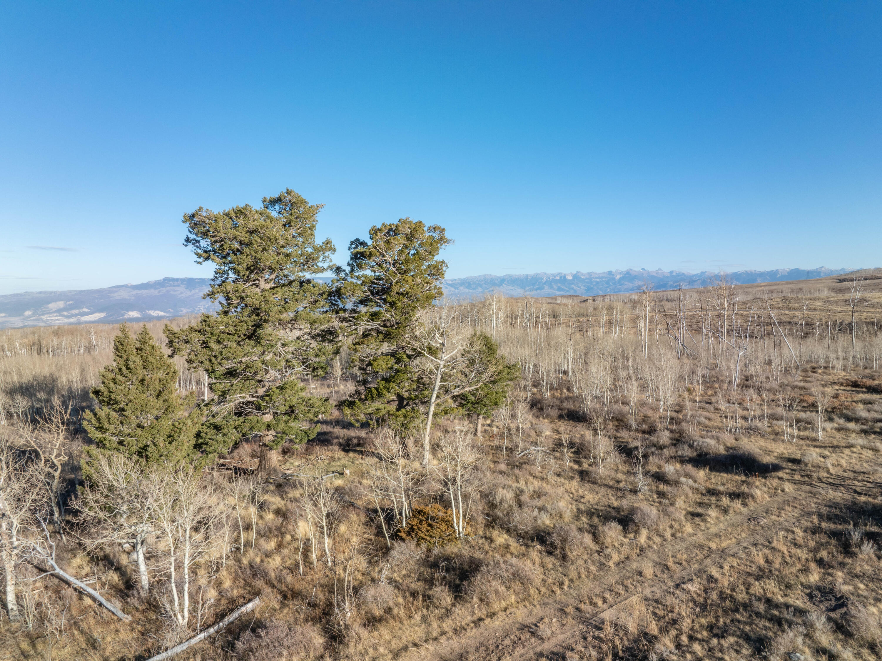 TBD Cornerstone Trail