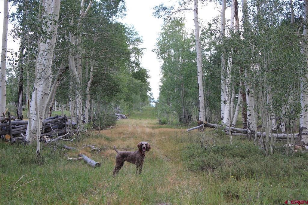 100 Golden Grove Lane