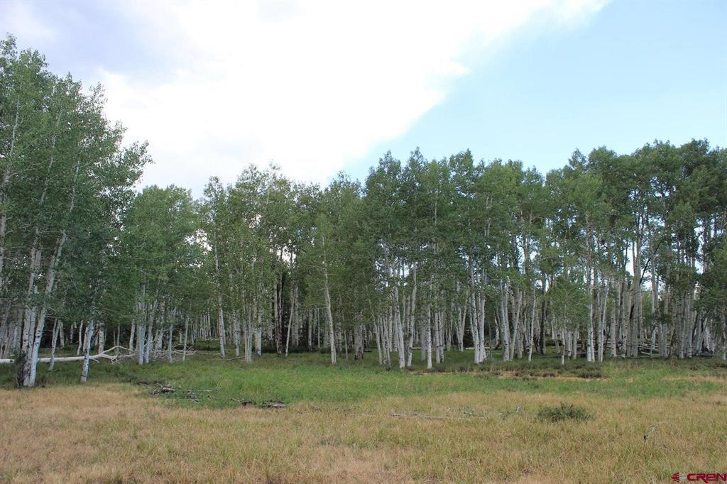 100 Golden Grove Lane