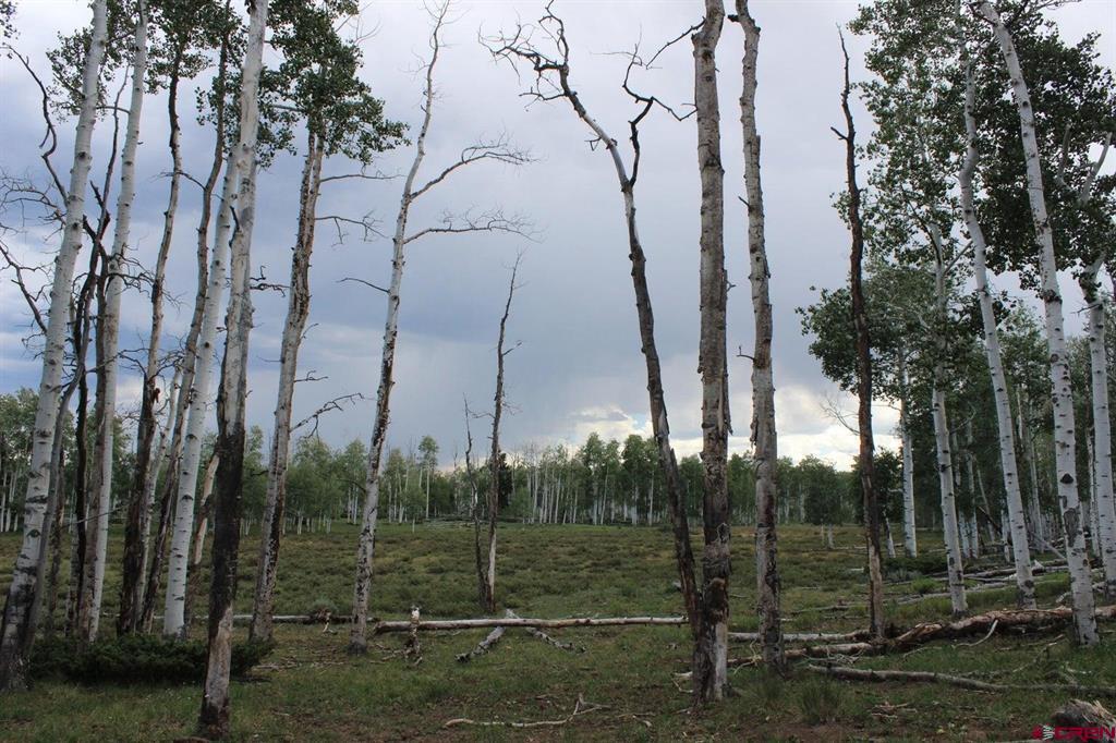 100 Golden Grove Lane