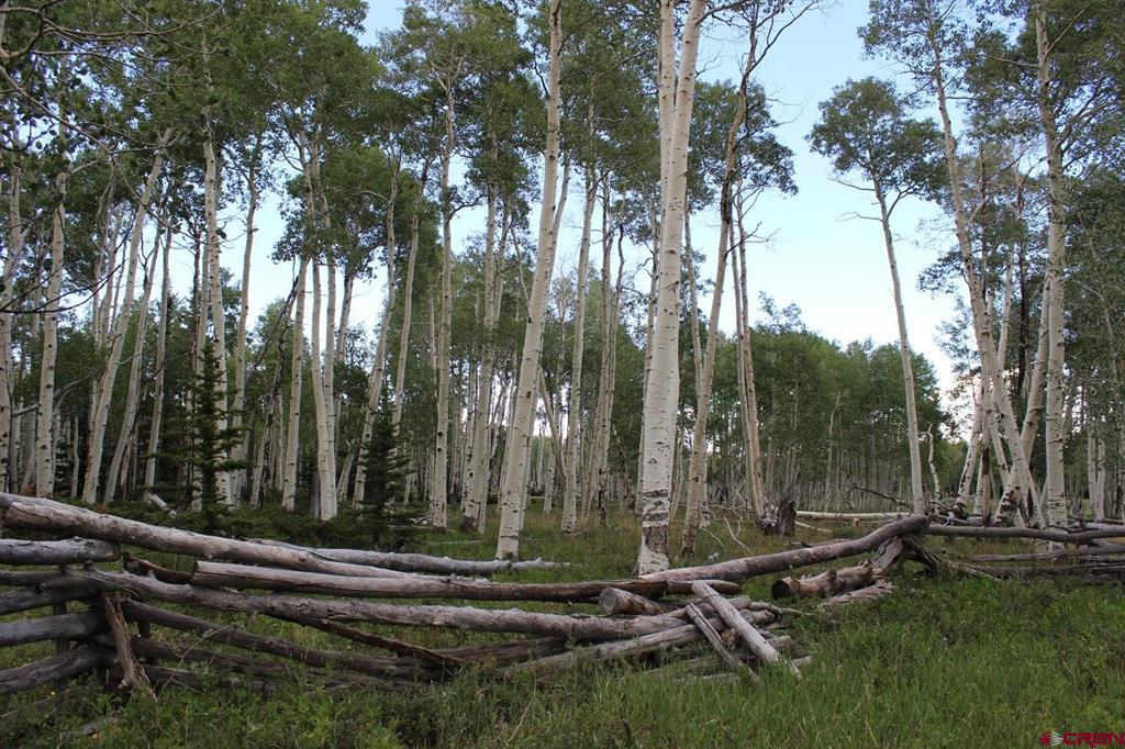 100 Golden Grove Lane