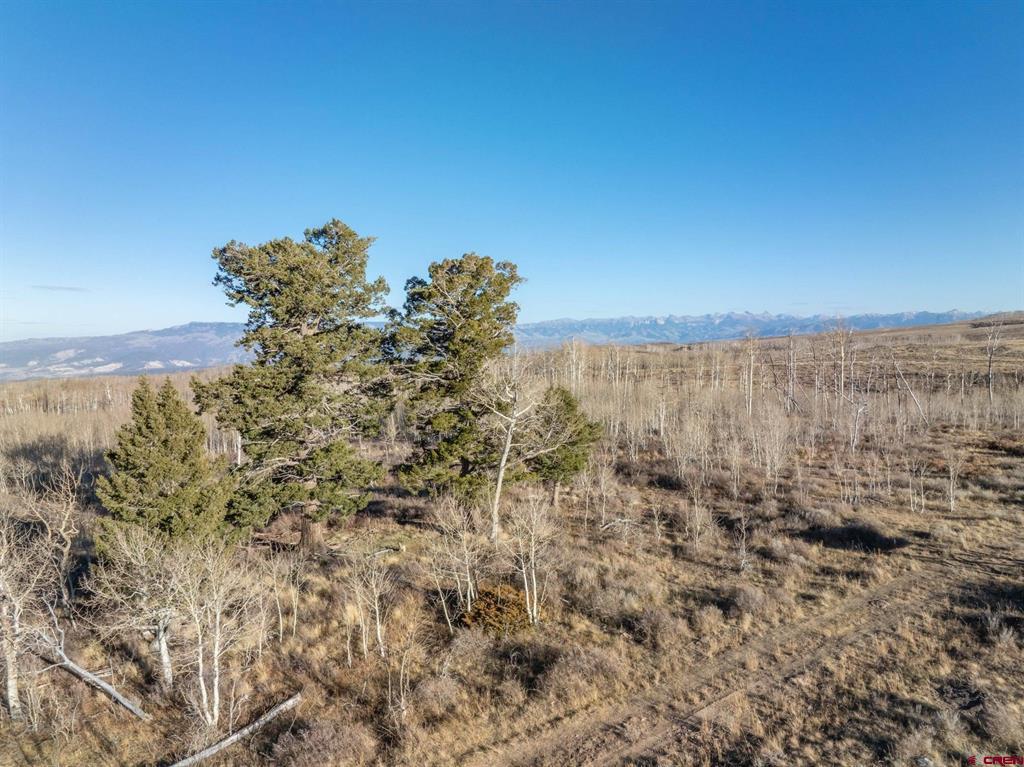 TBD Cornerstone 2 Trail