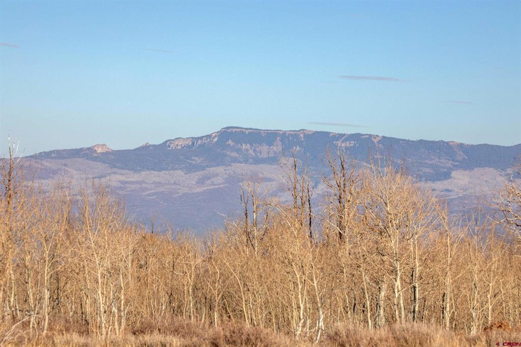 TBD Cornerstone 2 Trail