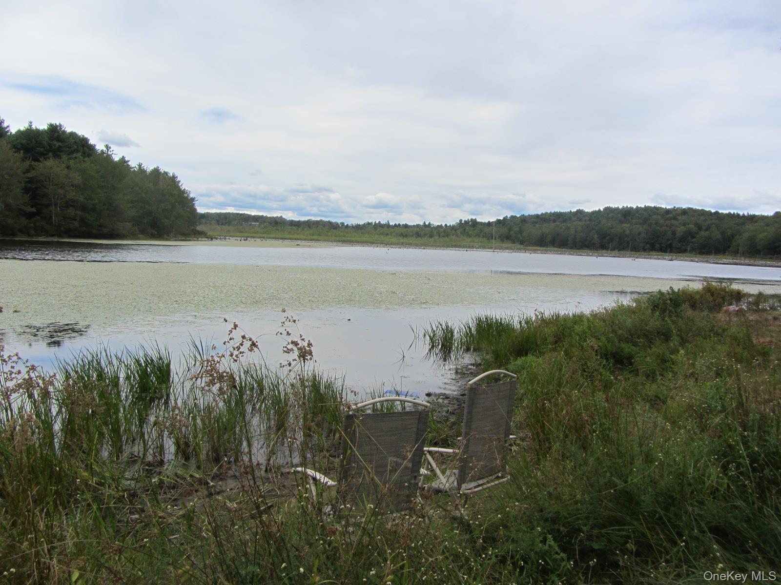T/B/D Fraser Road