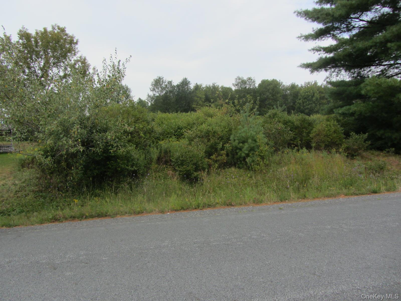 T/B/D Fraser Road