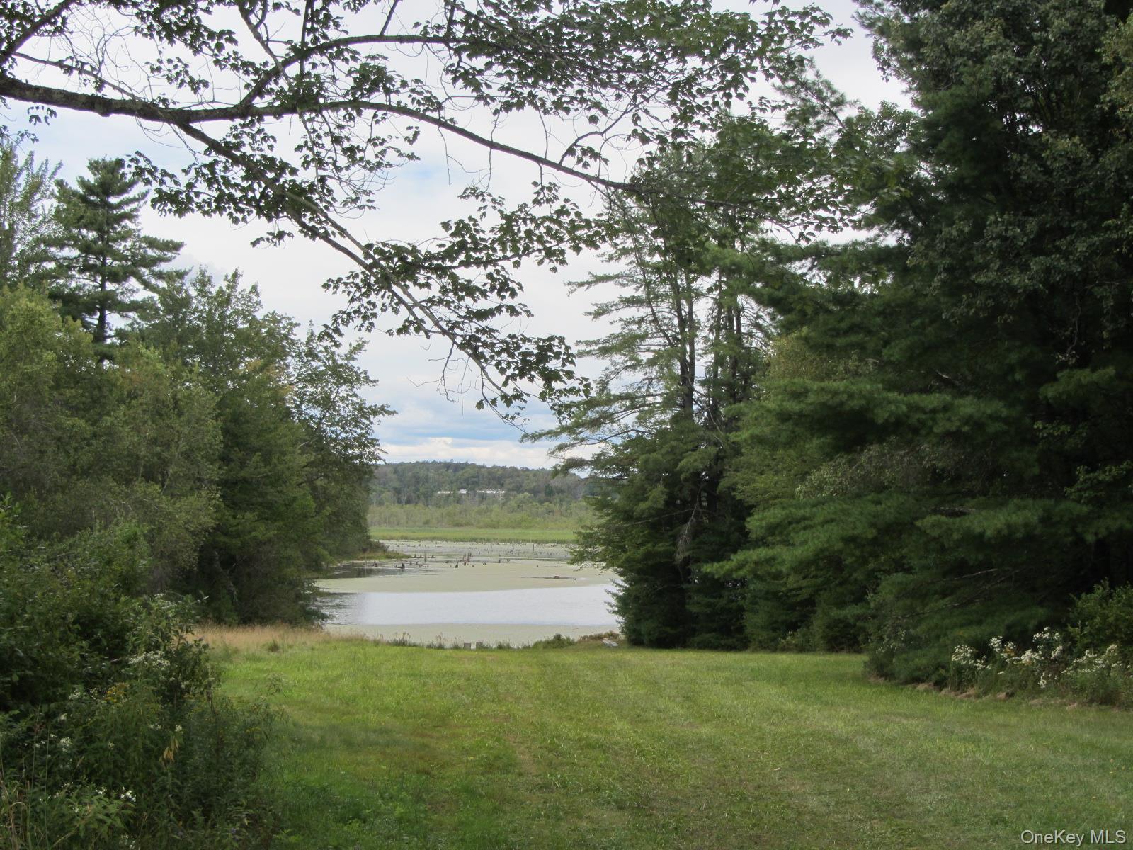 T/B/D Fraser Road
