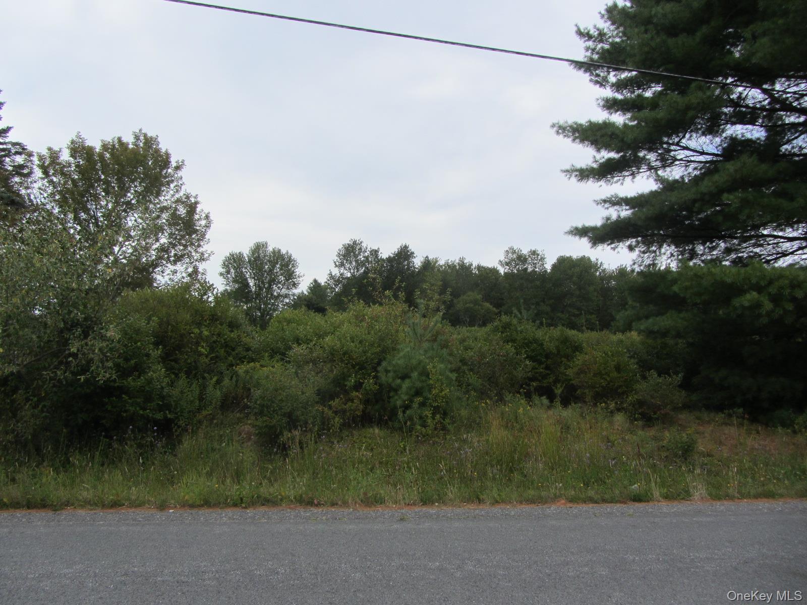 T/B/D Fraser Road