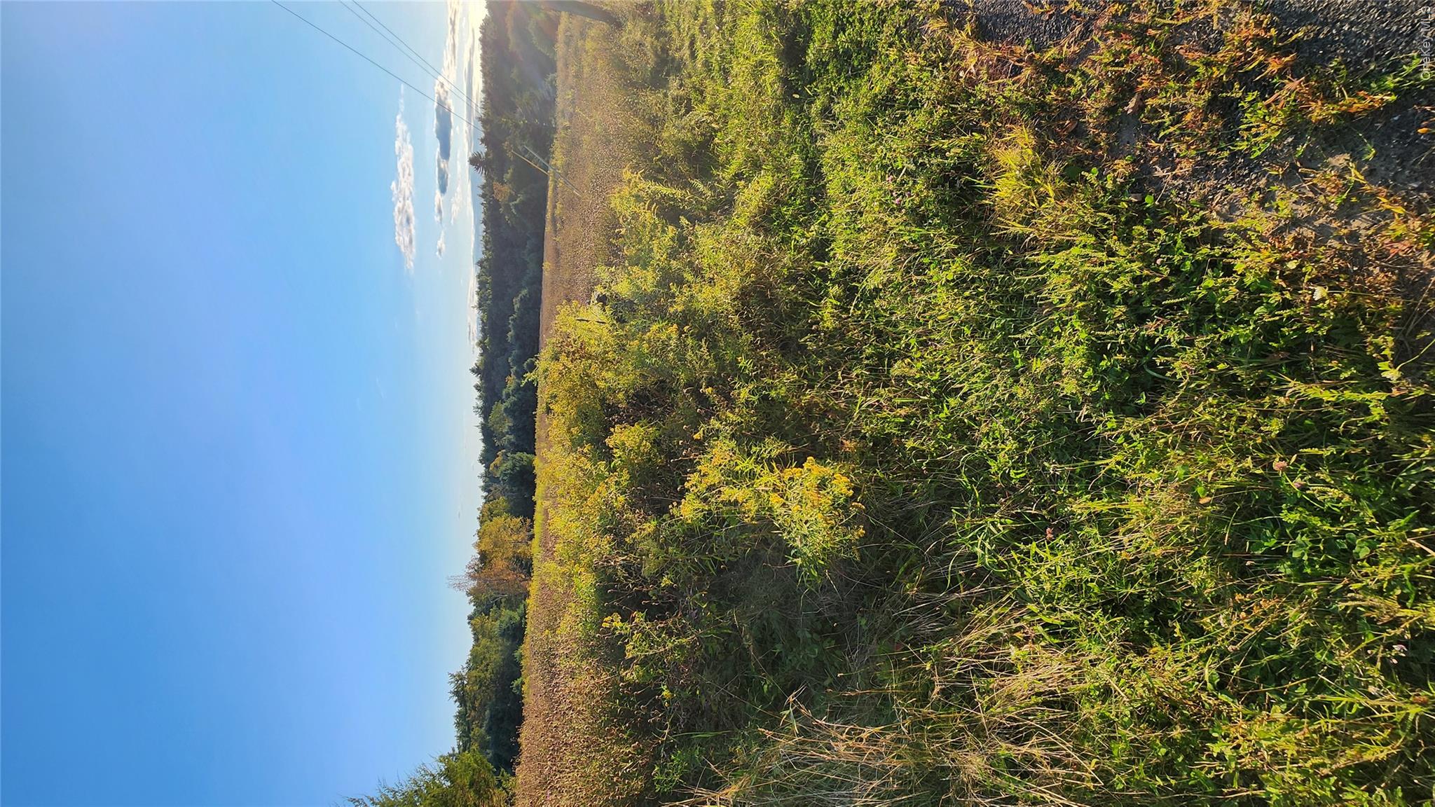 Gorgeous Vacant Land