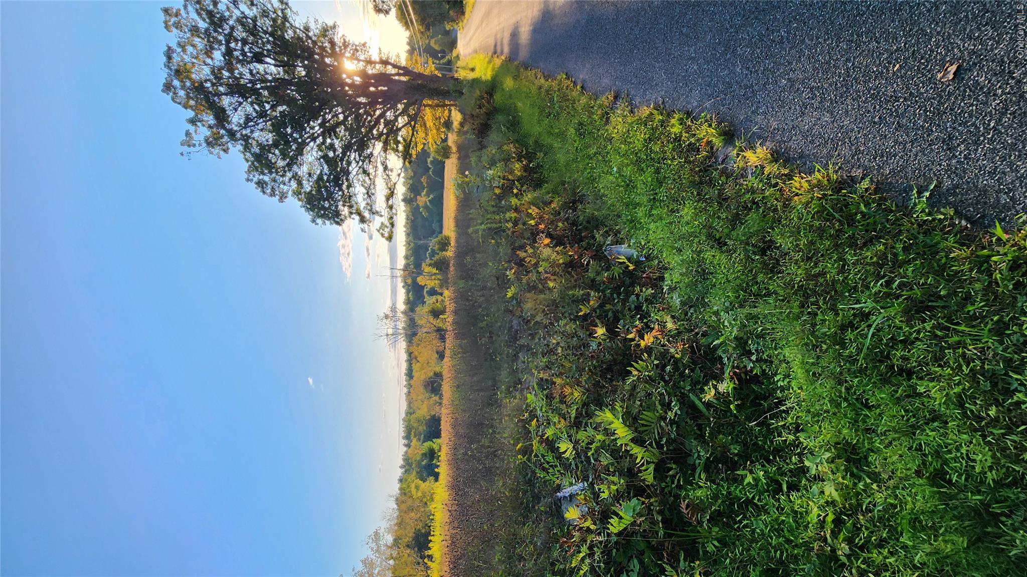 Gorgeous Vacant Land