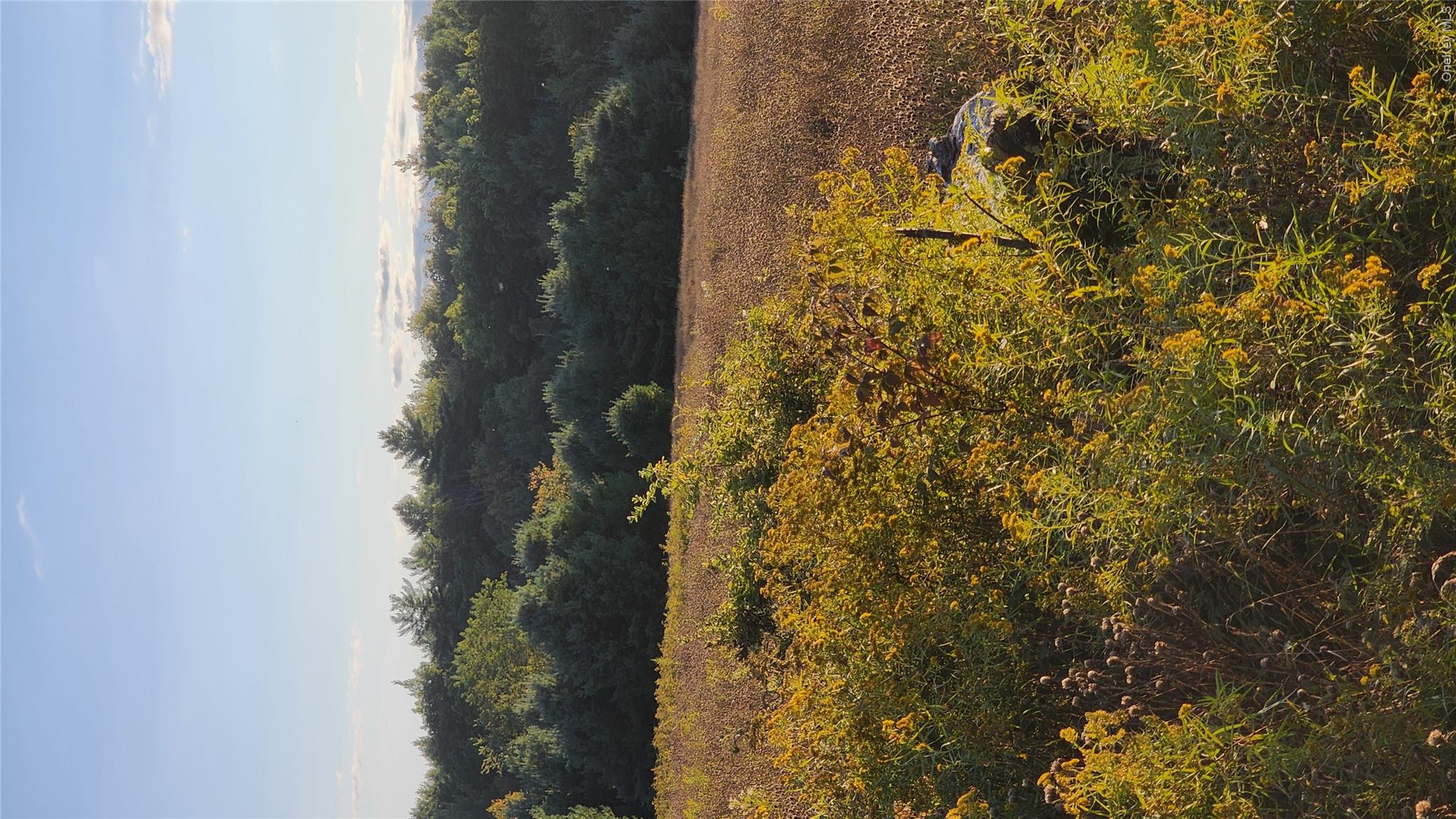 Gorgeous Vacant Land