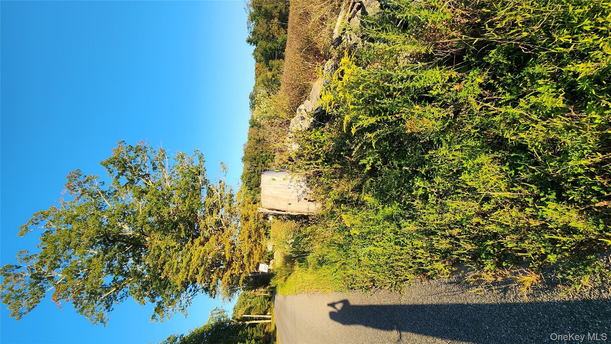 647 Irish Cape Road