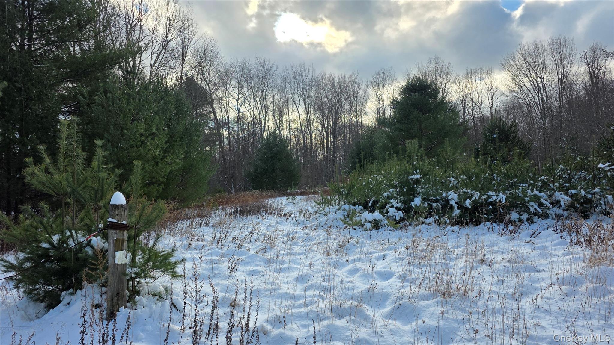 Development Property