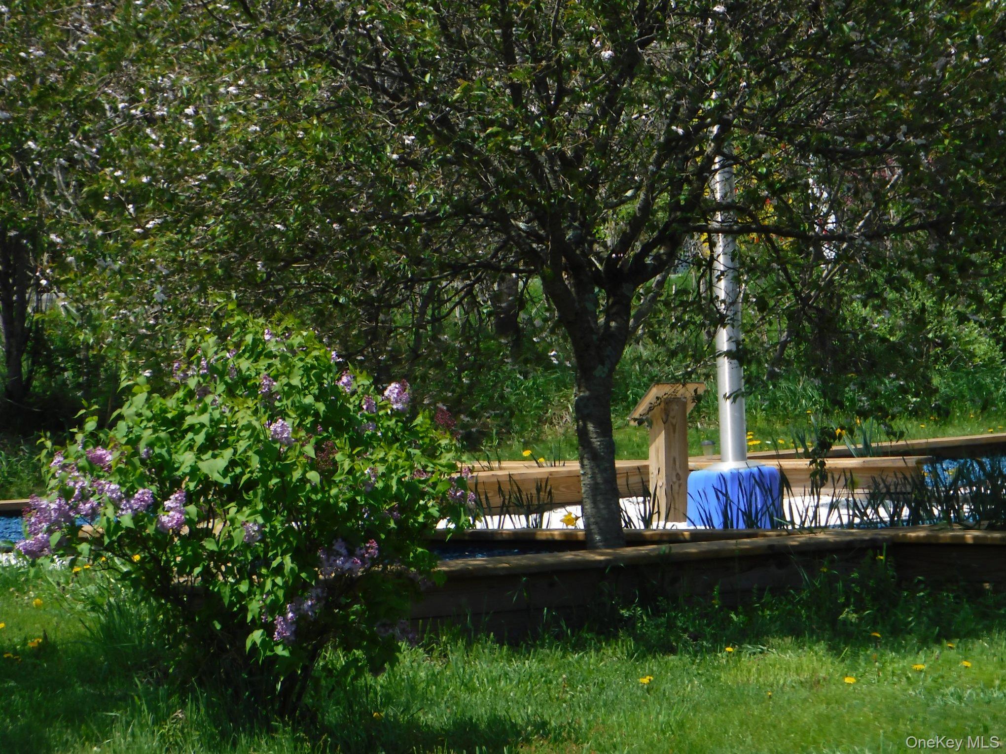 Camping Grounds Plus with 16.9 Acres