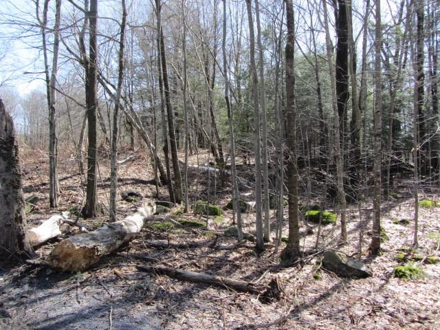 Cooley Mountain Road