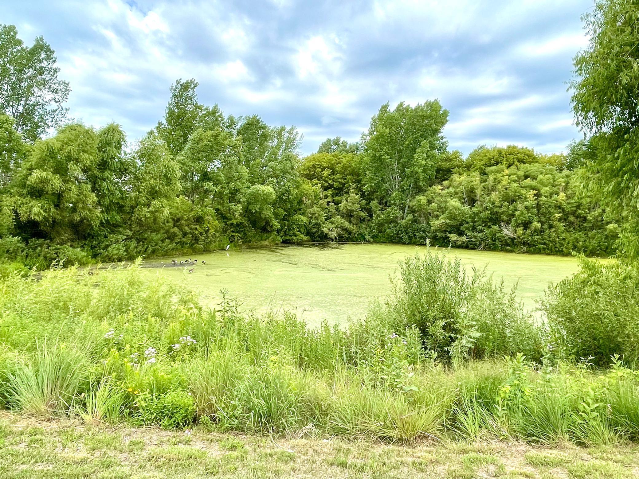 2608 Oak Lawn Drive