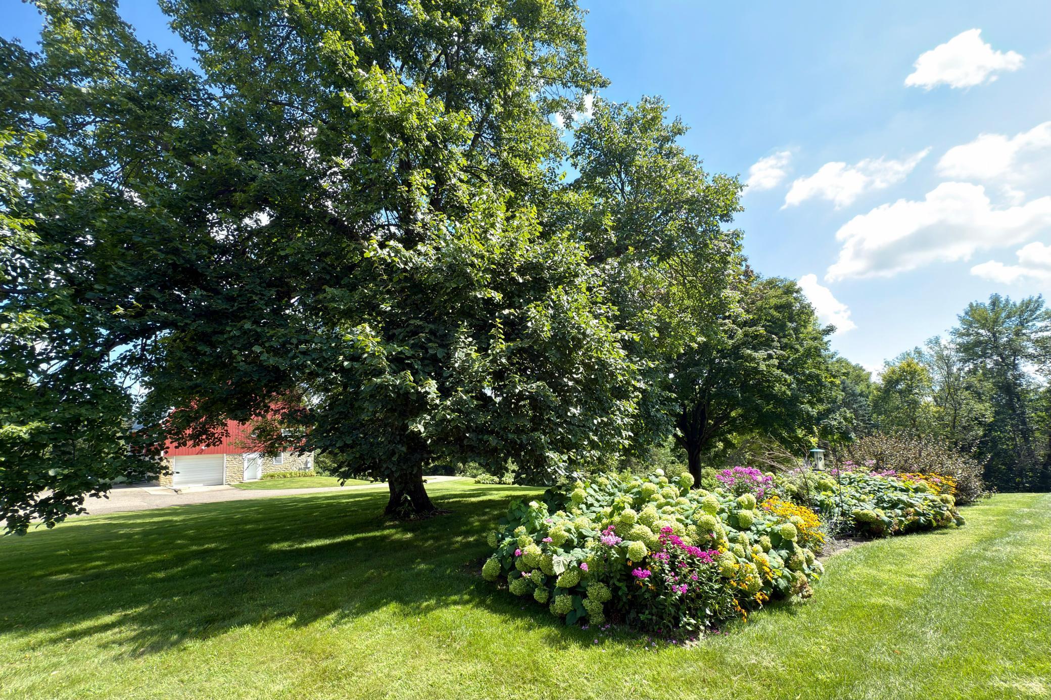 12326 Falk Trail